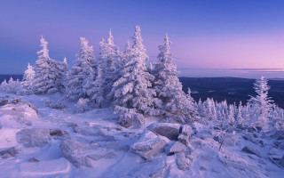 Snowy mountain forest lake sky - a purple sky in the background free wallpaper