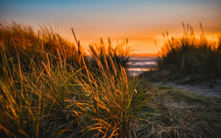 Grassy path sunset water clouds - a sunset in the background and a body of water free wallpaper