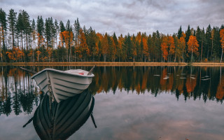 Boat lake trees swans autumn - evaline ness free wallpaper for desktop
