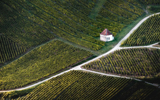 House field road center landart - free architecture wallpaper