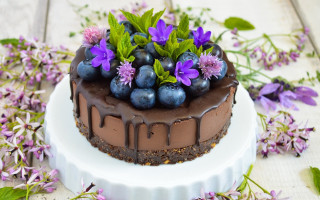 Chocolate blueberry flower spring outdoor - a chocolate cake free wallpaper for desktop