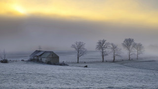 Barn field trees fog people - tree and fog in the background free wallpaper