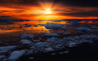 Sunset water ice birds city - ice chunk free wallpaper