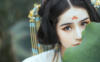 Woman headpiece butterfly portrait cloisonnism - her head and a butterfly free wallpaper