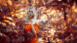 Woman orange dress tree red - an orange dress free wallpaper