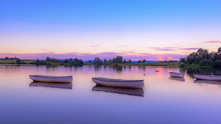 Boats sunset pink sky trees - a pink sky in the background free wallpaper