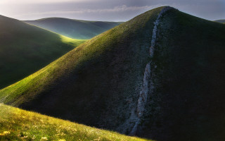 Grassy hill stream flower sunset - a few yellow flower free wallpaper