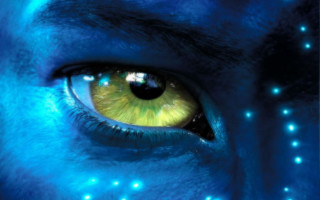 Close up blue yellow eye - realistic free wallpaper