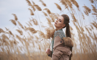 Woman field tallgrass pony tail - anna hotchkis free wallpaper