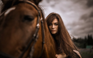 Woman horse portrait blurry cinematic - a horse free wallpaper for desktop