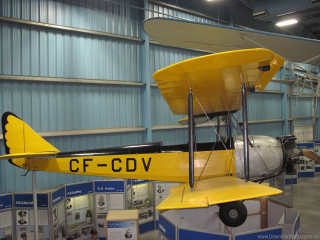 Yellow airplane hangar display man - free bird wallpaper for desktop