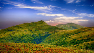 Mountain range cloudy sky flower - free landscape wallpaper
