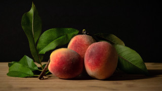 Peaches leaves stilllife food photography - professional food photography free wallpaper for desktop