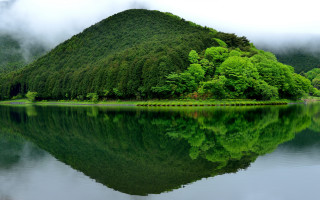 Mountain lake trees foggy sky 2 - a lake in front free wallpaper for desktop