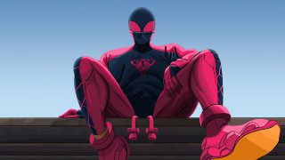 Pink suit sitting hero shoes - pink shoe free wallpaper