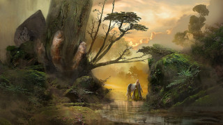 Horse man forest river sunset - anato finnstark free wallpaper for desktop