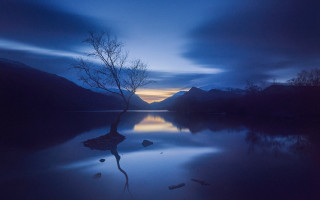 Lake night tree mountains moon - free halloween wallpaper