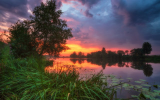 Sunset lake trees waterlilies mystical - a sunset over a lake free wallpaper for desktop