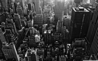 Black white city sunlight skyscraper 2 - city free wallpaper