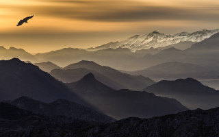 Bird mountains sunset sky ocean - over a mountain range free wallpaper