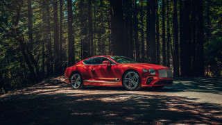 Red car woods forest pine - anthony s waters free wallpaper