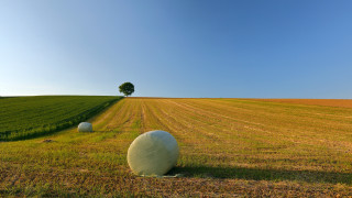 Field balls tree land art - a tree in the distance free wallpaper