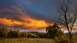 Mystical autumn field trees cloudy - a few cloud free wallpaper for desktop