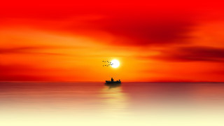 Boat sailing ocean sunset bird - a digital painting free wallpaper