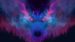 Glowing blue wolf starry night - star and trees free wallpaper