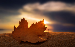Leaf sand sunset clouds autumn - the sand free wallpaper for desktop