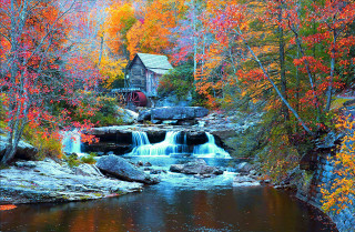 Waterfall forest cabin fall foliage - a waterfall in a forest free wallpaper