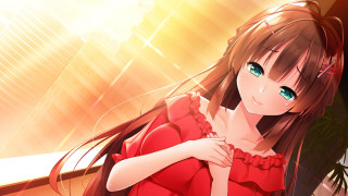 Red dress woman plant light - shining free wallpaper