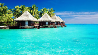 Beach huts ocean palm trees - top of a beach next free wallpaper