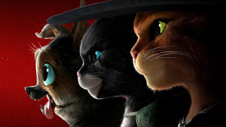 Cats group red background hat - a group of cats free wallpaper