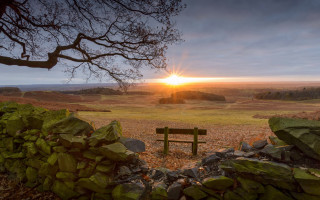 Sunset forest lake bench tree - top of a grass free wallpaper for desktop