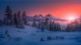 Sunset snowy mountains trees red - a sunset over a snowy mountain free wallpaper