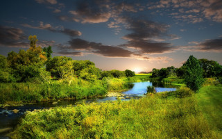 River forest sunset cloudy sky - a lush green forest under a cloudy sky free wallpaper