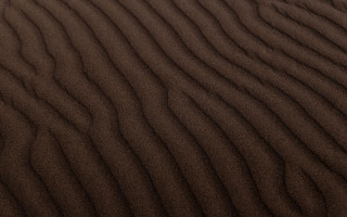 Sand dune bird 3d texture - detailed texture free wallpaper