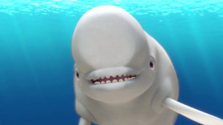 White shark toothy smile swimming - selfie free wallpaper