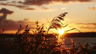 Sunset clouds grass water autumn - the foreground and a body of water free wallpaper for desktop