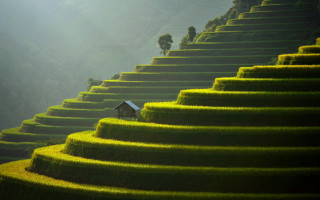 Mountain house ecological art tilt - green grass free wallpaper for desktop