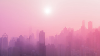 Hazy city skyline bird sunset - elsa bleda free wallpaper for desktop