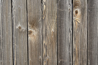 Wooden fence bird closeup minimalism - side and a bird free wallpaper