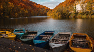 Boats lake forest hillside autumn - hillside free wallpaper