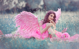 Woman pink dress wings flower - a field of flowers and grass free wallpaper