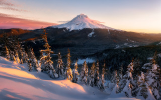 Snowy mountain trees sunset pink 3 - the foreground and a sunset in the background free wallpaper for desktop