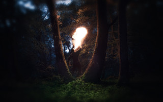 Dark forest bright light person - the middle of the forest free wallpaper