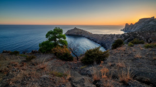 Tree ocean sunset cliff panorama - the cliff free wallpaper