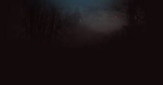 Dark forest light person walking - the ground and a person free wallpaper