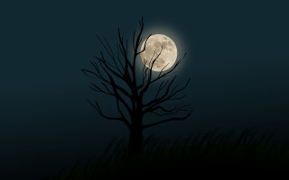 Bare tree night full moon - clark voorhees free wallpaper for desktop